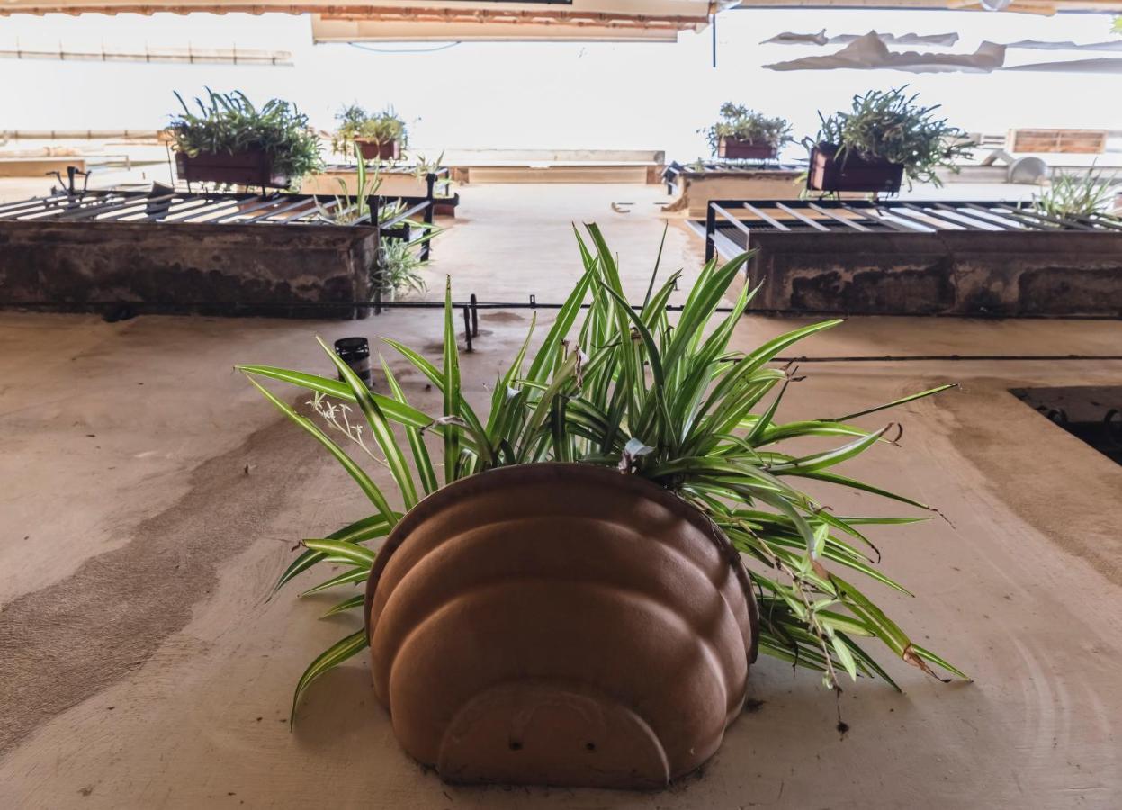 La Casa Degli Angeli Panzió Salerno Kültér fotó